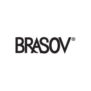 Brasov Net
